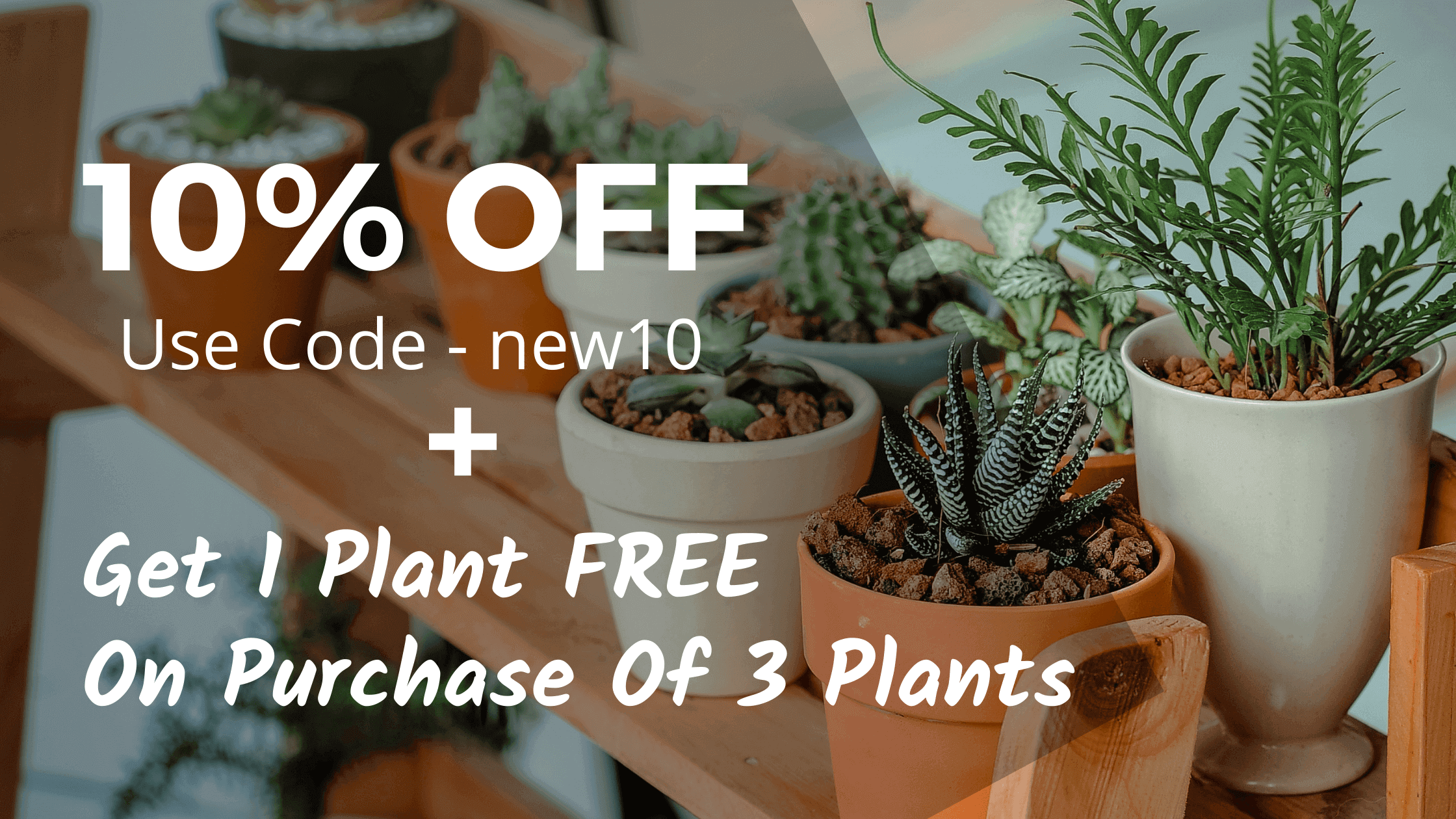 Plants Online